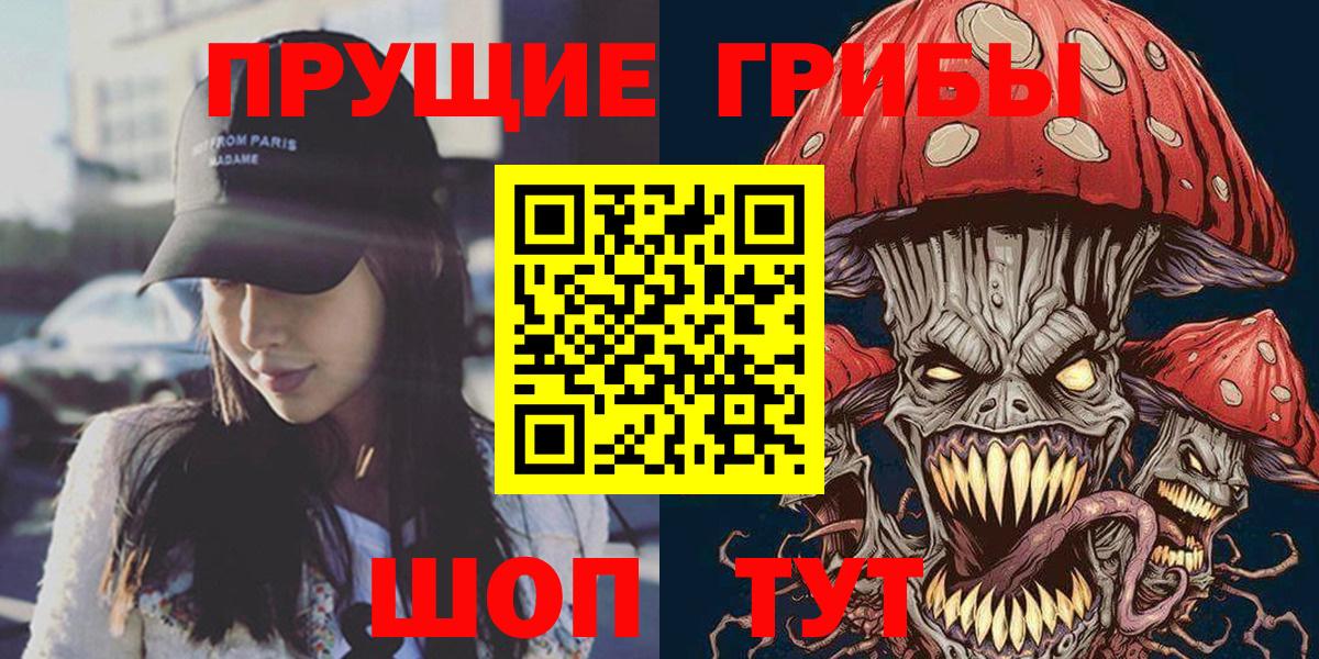 Псилоцибиновые грибы Psilocybine cubensis  Вход с VPN  Кулебаки 